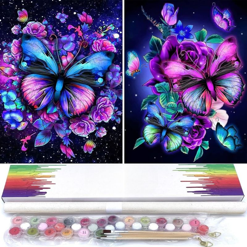 Butterfly Floral Paint By Numbers Set