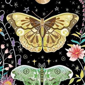 Butterfly Art With Round Diamonds