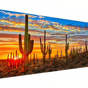 Cactus Field Decor Painting Kits