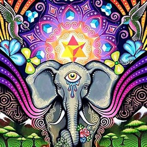 Elephant Paint By Diamond Kit