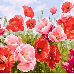Flower Field Paint By Numbers Set