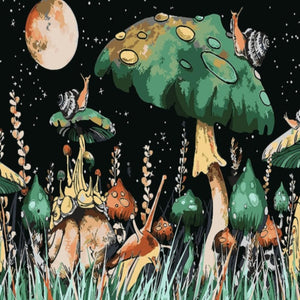 Moon Mushroom Art Paint By Number For Decor