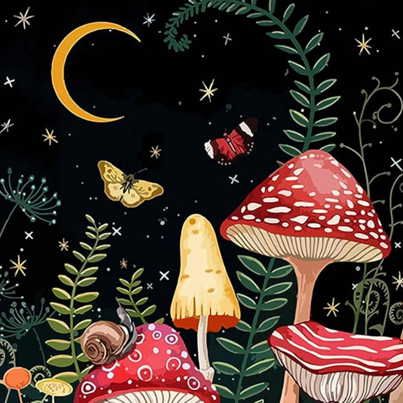 Mushroom With Moon Paint by Numbers