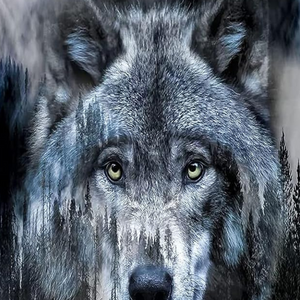 Wolf Painting By Diamonds Numbers